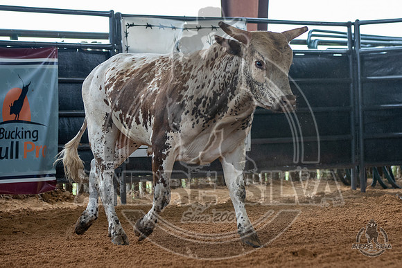 2020_May_23_ABBI_141