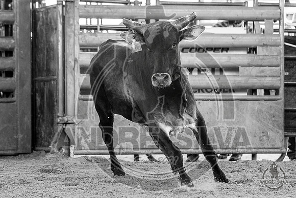 2020_May_23_ABBI_043