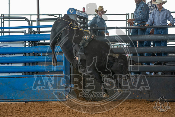 2020_May_23_ABBI_019