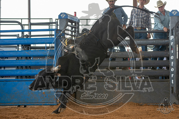 2020_May_23_ABBI_203
