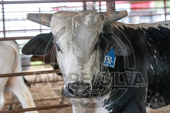2020_May_23_ABBI_381