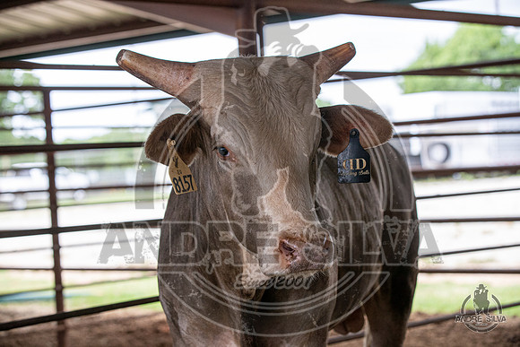 2020_May_23_ABBI_351