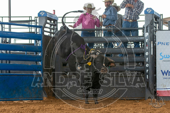 2020_May_23_ABBI_084
