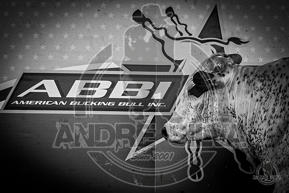 2020_May_23_ABBI_105