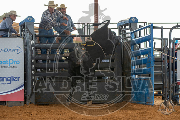 2020_May_23_ABBI_177