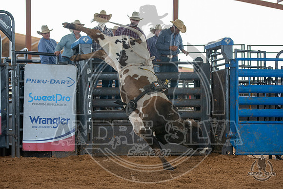 2020_May_23_ABBI_290