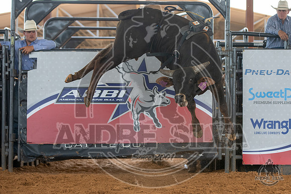 2020_May_23_ABBI_196