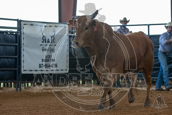 2020_May_23_ABBI_247