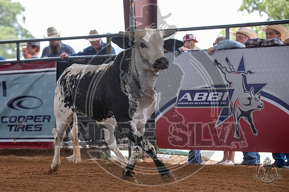 2020_May_23_ABBI_155