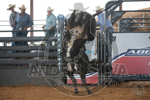 2020_May_23_ABBI_206