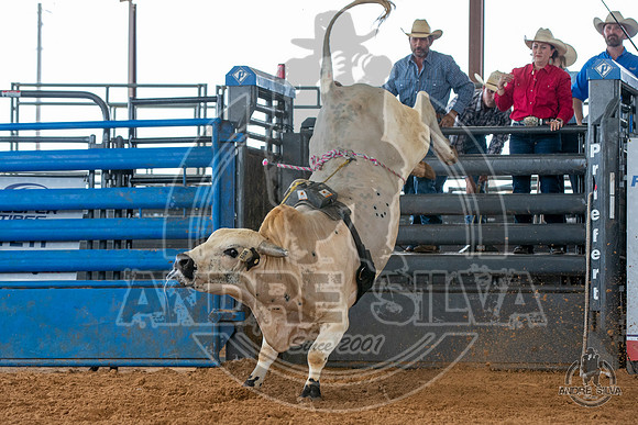 2020_May_23_ABBI_094