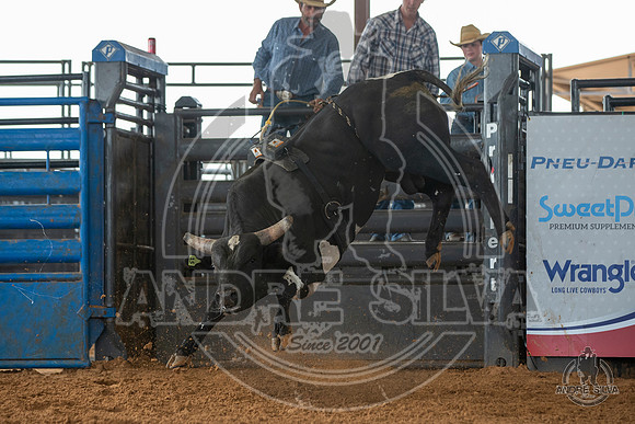 2020_May_23_ABBI_033