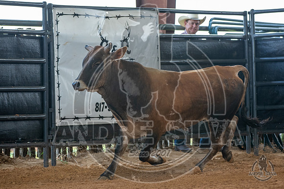 2020_May_23_ABBI_188