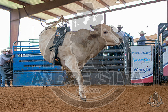 2020_May_23_ABBI_145