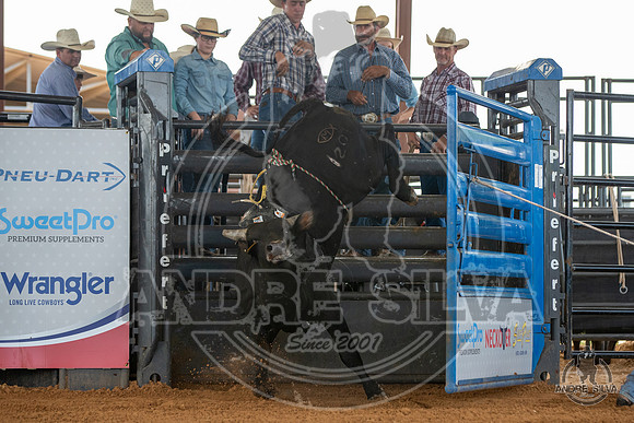 2020_May_23_ABBI_036