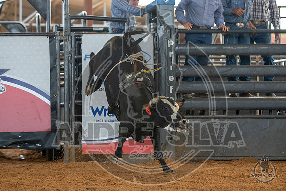 2020_May_23_ABBI_190