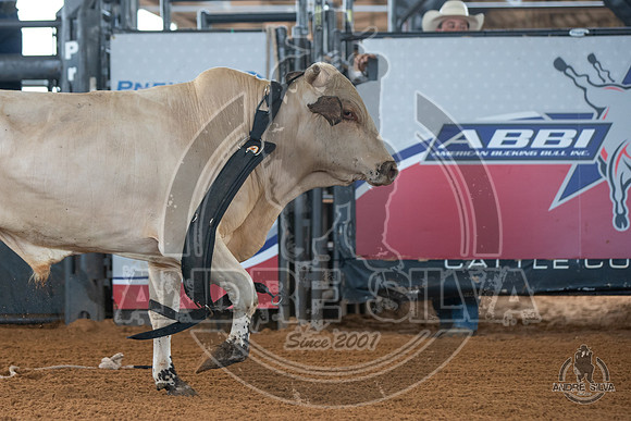 2020_May_23_ABBI_130