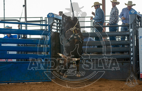 2020_May_23_ABBI_261