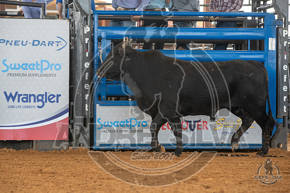 2020_May_23_ABBI_023