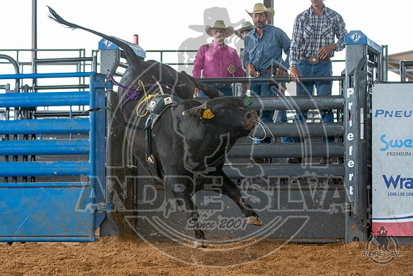 2020_May_23_ABBI_085