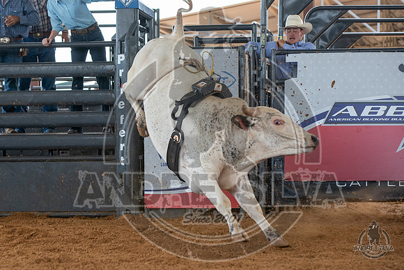 2020_May_23_ABBI_103