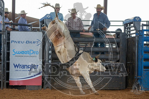 2020_May_23_ABBI_081