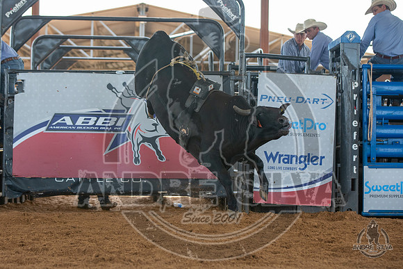 2020_May_23_ABBI_325