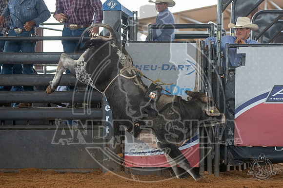 2020_May_23_ABBI_158