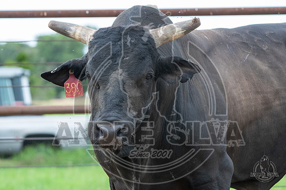 2020_May_23_ABBI_373