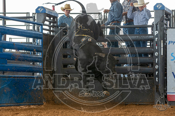 2020_May_23_ABBI_018