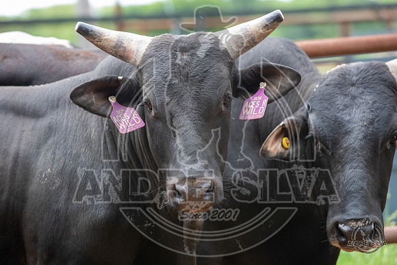 2020_May_23_ABBI_360