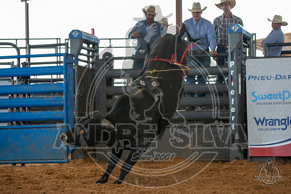 2020_May_23_ABBI_222
