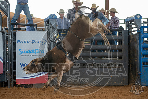 2020_May_23_ABBI_045