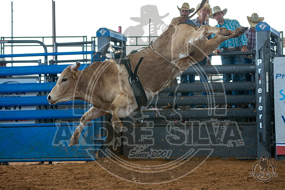 2020_May_23_ABBI_321