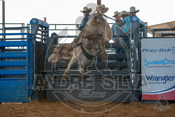 2020_May_23_ABBI_318