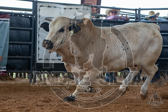 2020_May_23_ABBI_099