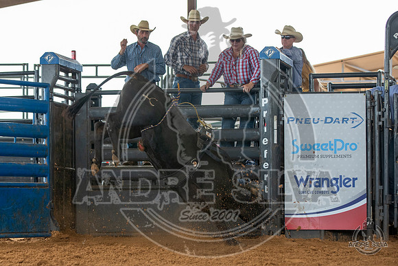 2020_May_23_ABBI_068