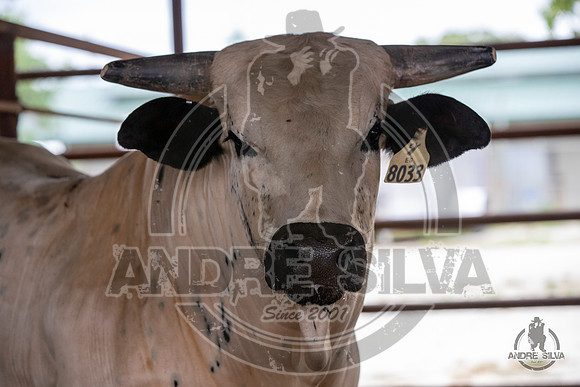 2020_May_23_ABBI_349