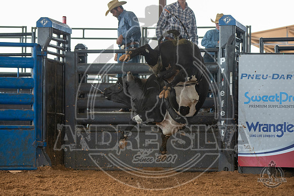 2020_May_23_ABBI_030
