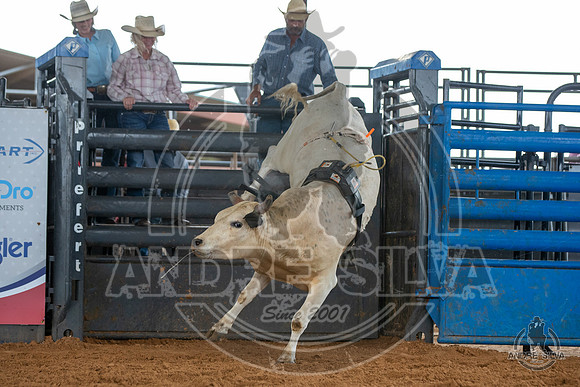 2020_May_23_ABBI_083