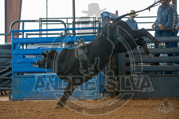 2020_May_23_ABBI_020