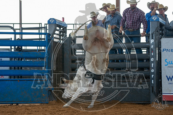 2020_May_23_ABBI_301