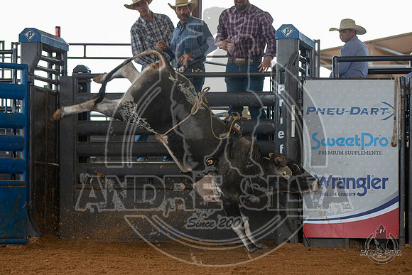 2020_May_23_ABBI_157