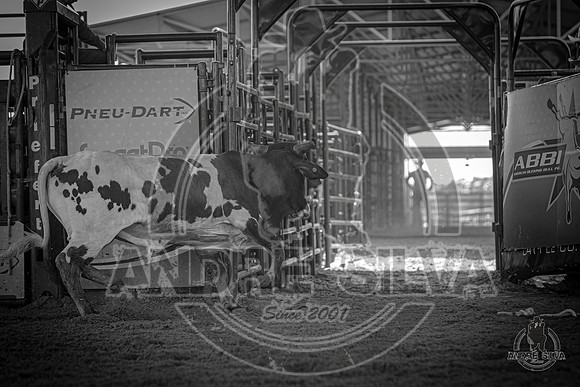 2020_May_23_ABBI_293