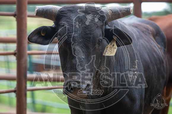 2020_May_23_ABBI_356
