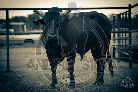 2020_May_23_ABBI_372