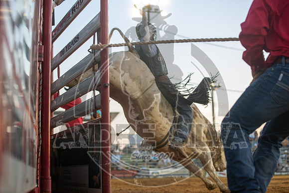 2024 Cowtown Rodeo_R1_XTREME BULLS_Dalton Potter_Cyclic__AndreSilva_301