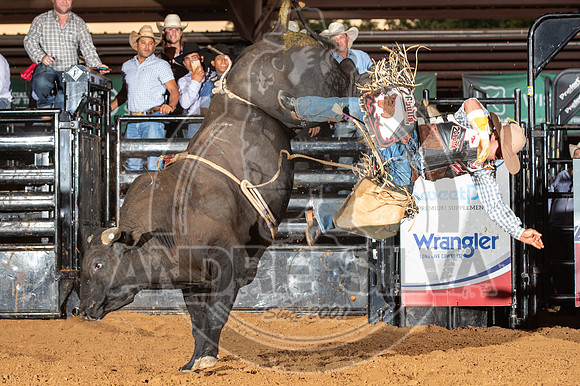 2020_Aug_29_ABBI_112