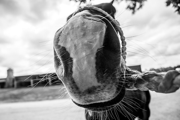 2020_July_25_PatyCowgirl_129