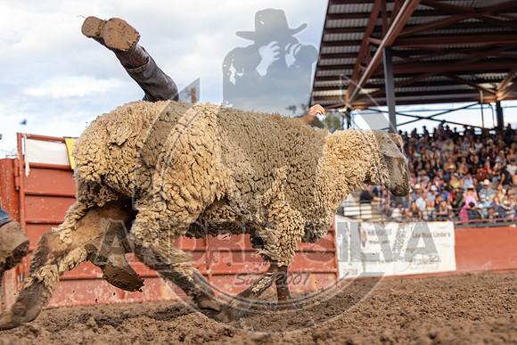 2024 Eagle_Mutton Busting__2593-AndreSilva